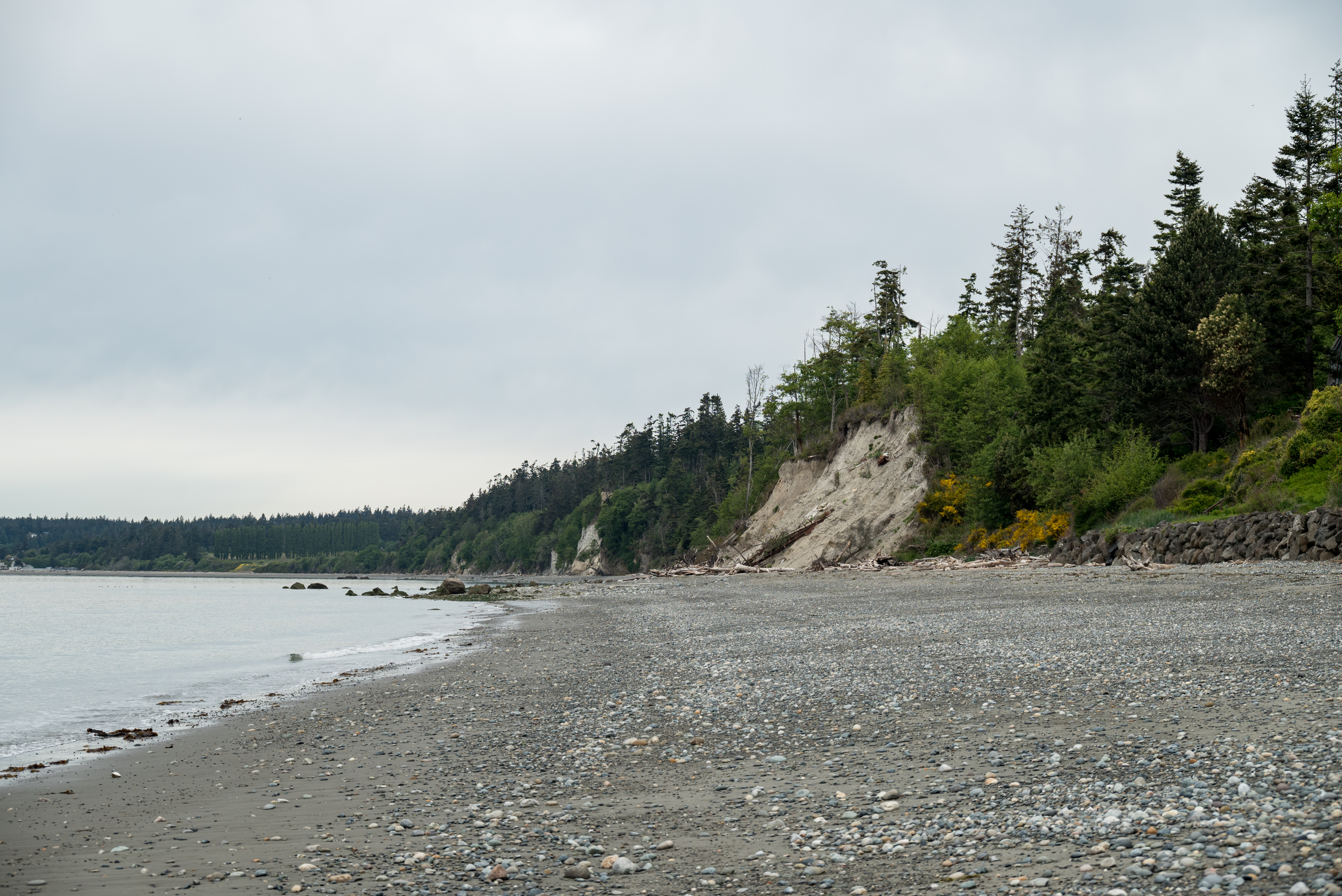 Field Photo 1